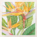 Buscar exotica posavasos Flores