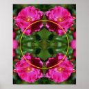 Buscar flores artísticas posters Rosa