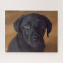 Buscar animales puzzles Cachorro