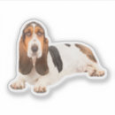 Buscar basset hound pegatinas Lindo