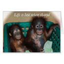 Buscar el fechar postales Novia