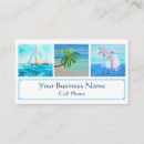 Buscar delfín tarjetas de visita Agua