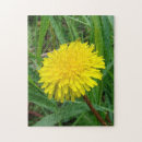 Buscar diente puzzles General y unisex