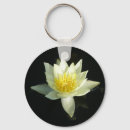 Buscar waterlily accesorios Fotografía