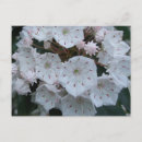 Buscar protección tarjetas e invitaciones Flor