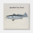 Buscar agua salada imanes Pesca