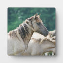 Buscar caballos salvajes placas fotograbadas Rebaño