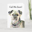 Buscar shitzu tarjetas Divertido