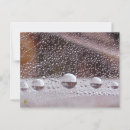 Buscar gotas de rocío postales Telaraña