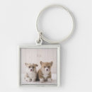 Buscar sentada del bebé accesorios Animal