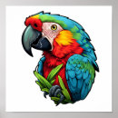 Buscar loro posters Pájaro