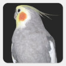 Buscar gallo manualidades Animales