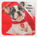 Buscar bulldog francés pegatinas Rojo