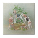 Buscar perro del beagle azulejos Perro de caza