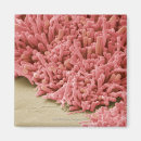 Buscar bacteria imanes Horizontal