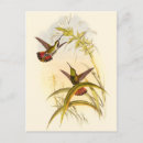 Buscar colibríes coloridos postales Flor