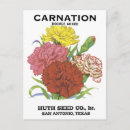 Buscar vintage san antonio postales Saludos