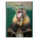 Buscar mandrill Maniquí