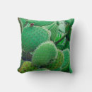 Buscar cactus espinoso cojines Verde