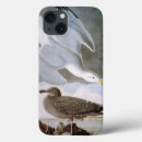 Buscar ilustraciones ipad fundas Audubon de juan james
