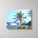 Buscar barbados arte Fotografía