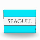 Buscar gaviotas casa hogar Blanco