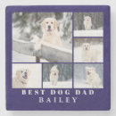 Buscar perros posavasos Moderno