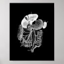 Buscar tripa posters Humano