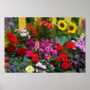 Buscar pulgar arte Flor