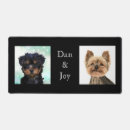 Buscar yorkie electronica Cachorros