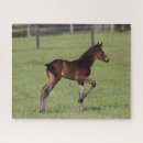Buscar caballo cuarto puzzles Potro