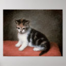 Buscar 1790 posters George