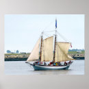 Buscar schooner Barcos