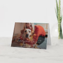 Buscar del peluche tarjetas de navidad General y unisex