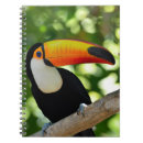 Buscar el brasil libretas Animal