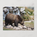 Buscar intercambio postales Postcrossing