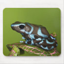 Buscar reptiles alfombrillas de raton Vida silvestre