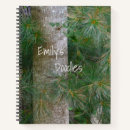 Buscar doodle cuadernos 8 º traza