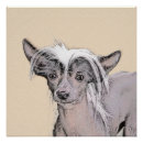 Buscar perro chino posters Cachorro