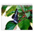 Buscar mariposas calendarios Naturaleza