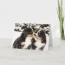 Buscar dog tarjetas Animal