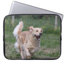 Buscar perro perdiguero fundas De oro plano revestido