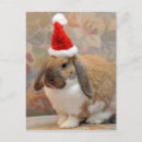 Buscar pañal postales Navidades