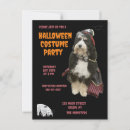 Buscar piratas postales General y unisex