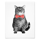 Buscar gatos negros posters Divertido