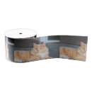 Buscar medio cintas Adorable