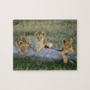 Buscar masai puzzles Pico de lincolina