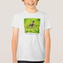 Buscar robin camisetas Naturaleza