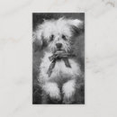 Buscar mullido tarjetas de visita Perro