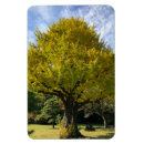 Buscar japan imanes Para todos